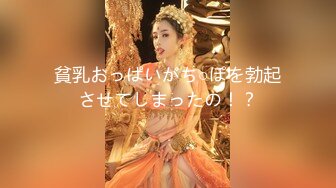 貧乳おっぱいがち○ぽを勃起させてしまったの！？