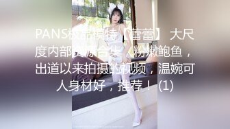 PANS极品模特【蕾蕾】 大尺度内部资源合集，粉嫩鲍鱼，出道以来拍摄的视频，温婉可人身材好，推荐！ (1)