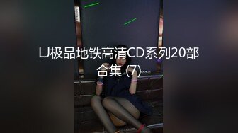 LJ极品地铁高清CD系列20部合集 (7)