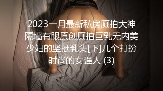 2023一月最新私房厕拍大神隔墙有眼原创厕拍巨乳无内美少妇的坚挺乳头[下]几个打扮时尚的女强人 (3)