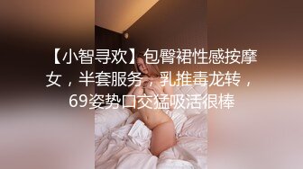 【小智寻欢】包臀裙性感按摩女，半套服务，乳推毒龙转，69姿势口交猛吸活很棒