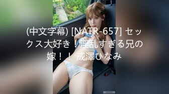 (中文字幕) [NATR-657] セックス大好き！淫乱すぎる兄の嫁！！ 成澤ひなみ