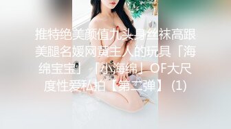 推特绝美颜值九头身丝袜高跟美腿名媛网黄主人的玩具「海绵宝宝」「小海绵」OF大尺度性爱私拍【第二弹】 (1)