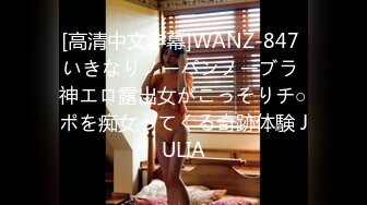 [高清中文字幕]WANZ-847 いきなりノーパンノーブラ 神エロ露出女がこっそりチ○ポを痴女ってくる奇跡体験 JULIA